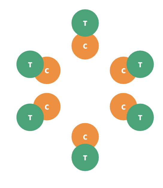 Animated diagram of six team-and-customer pairs arranged in a circle, rotating so every research team meets every participant in turn