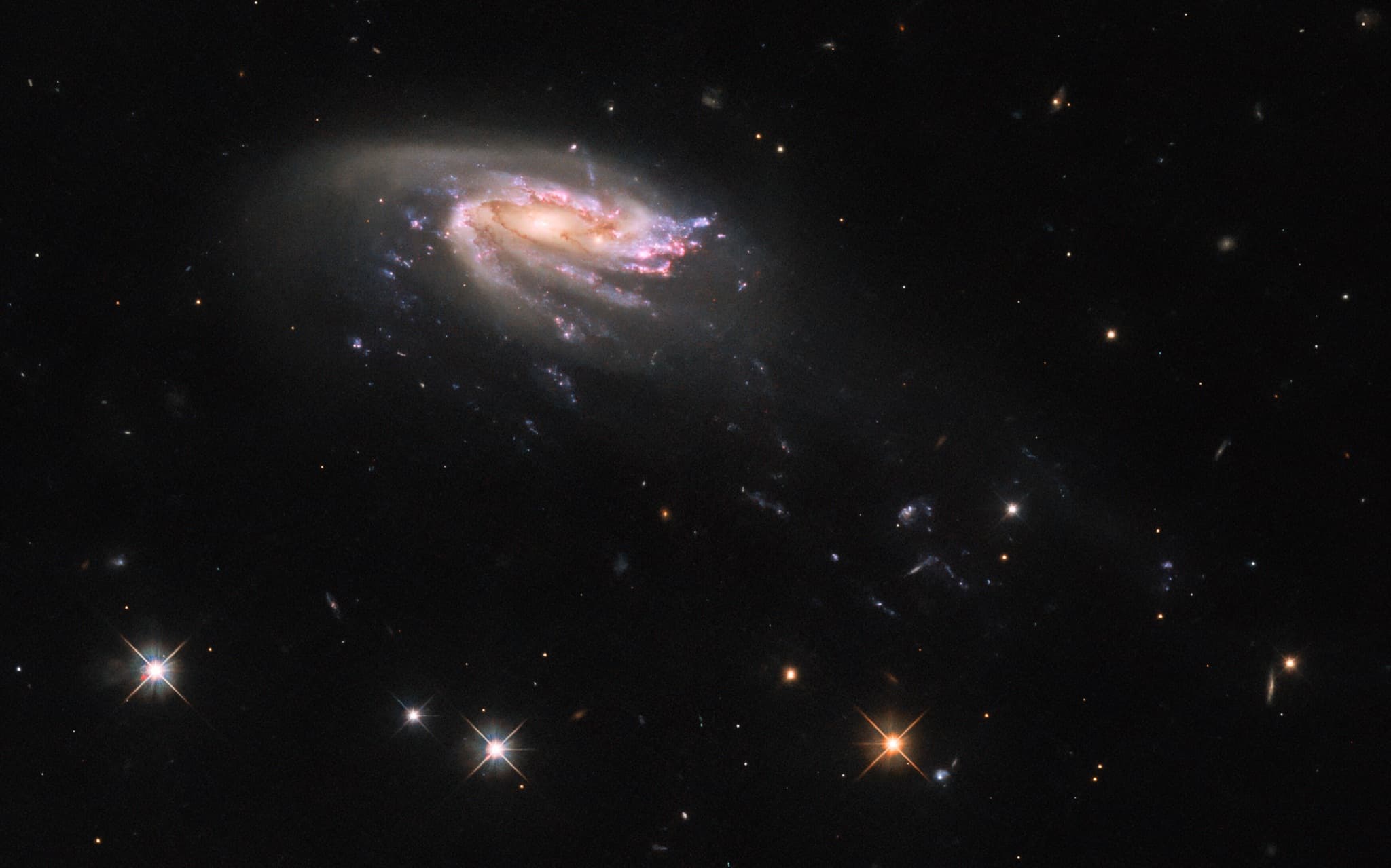 The jellyfish galaxy JO206 trailing long tendrils of bright blue and pink star formation behind its colorful disk against a black sky.
