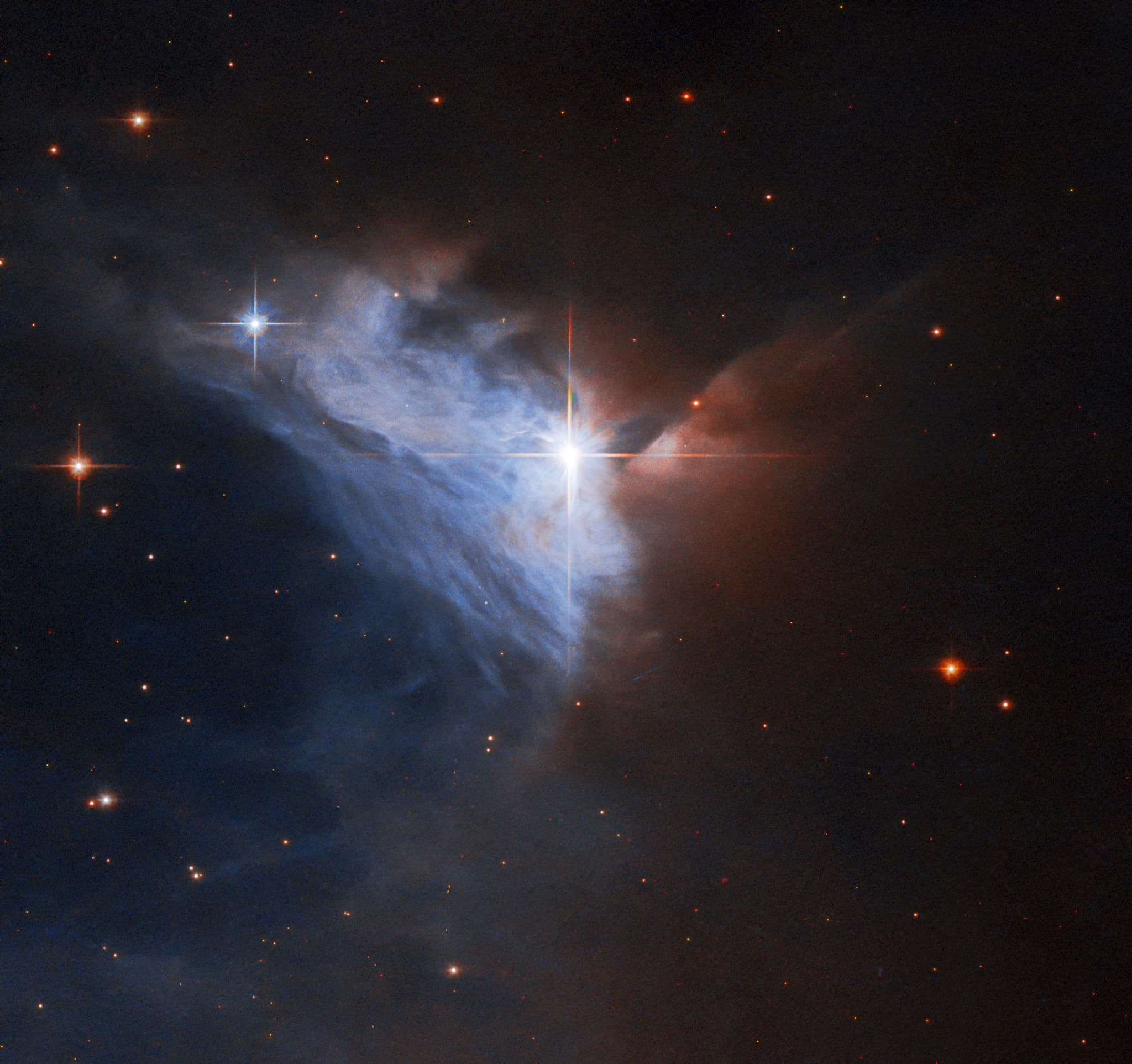 Hubble image of emission nebula NGC 2313, a bright star veiled in a curtain of dust.